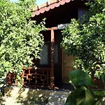 Merhaba ゲストハウス Çıralı