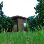 Merhaba Çıralı