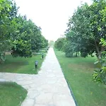 Merhaba Çıralı