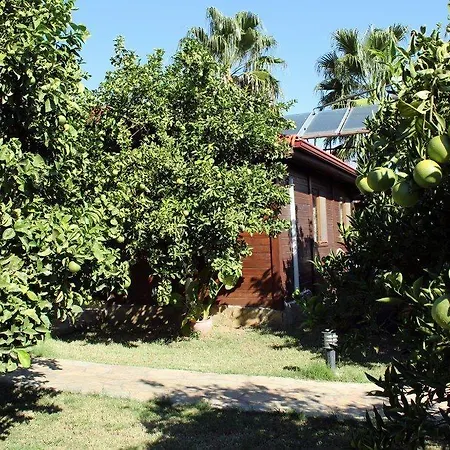 Casa de hóspedes Merhaba