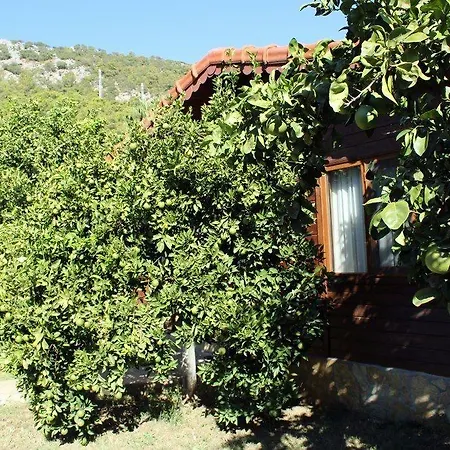 Casa de hóspedes Merhaba