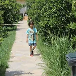 Merhaba 3*