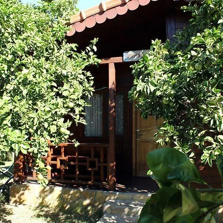 Merhaba Maison d'hôtes Çıralı