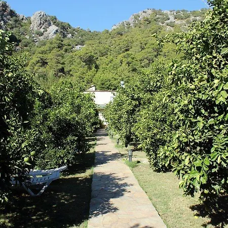 Merhaba Maison d'hôtes Çıralı