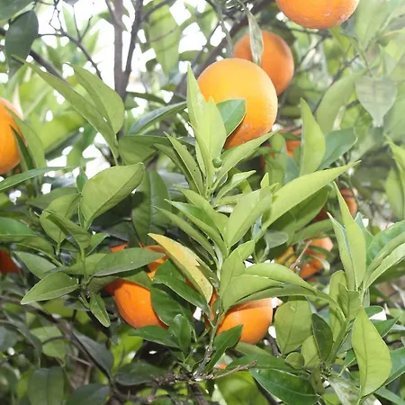 Maison d'hôtes Merhaba 3*